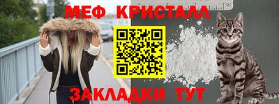 jwh Кингисепп