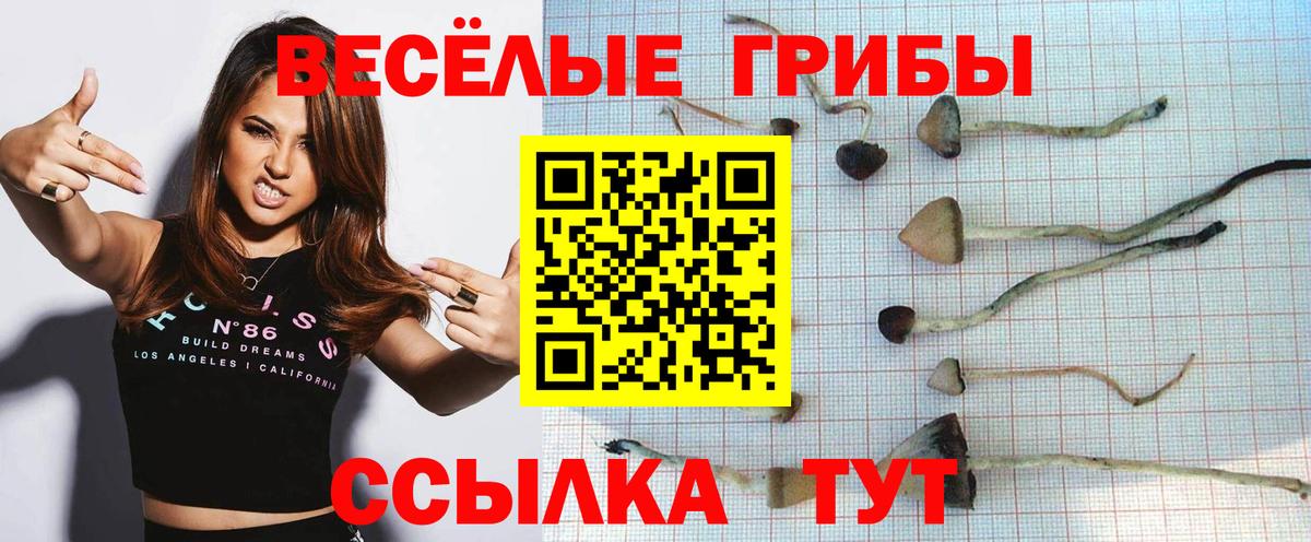 Псилоцибиновые грибы Psilocybine cubensis Клин
