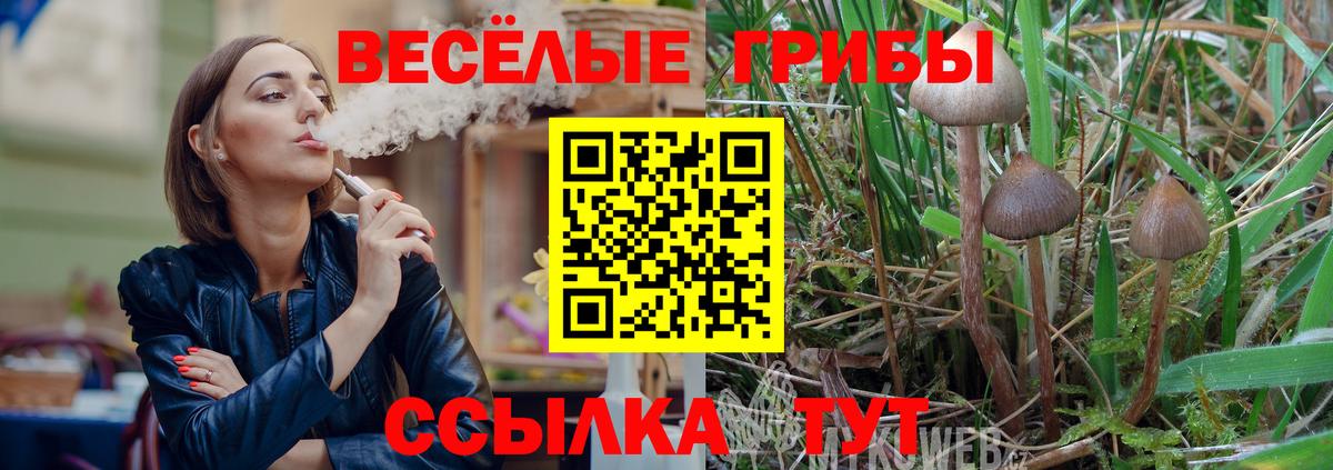 Клин  Галлюциногенные грибы Psilocybe  Вход с VPN 